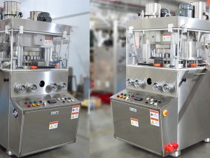 Salt Tablet Press Machine (ZP27D Rotary Tablet Press )